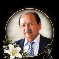 VICTOR RAUL DELGADO