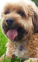 BAXTER PEREZ 