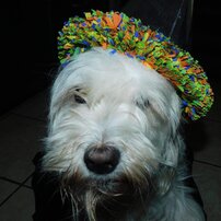 COCO 