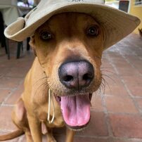 SCOOBY QUINTANILLA MALDONADO 