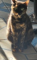 LUCRECIA 